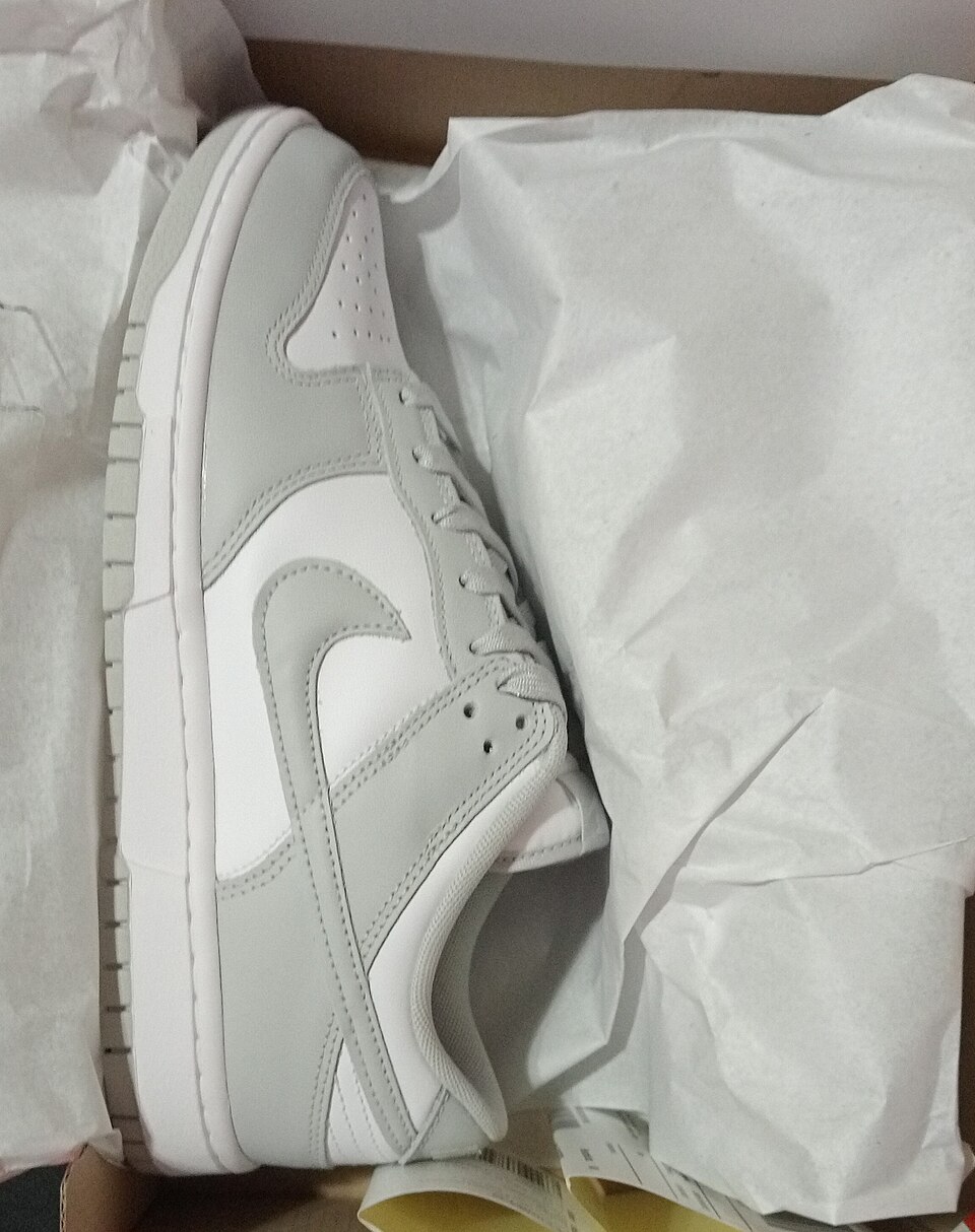 Nike Dunk Low Retro